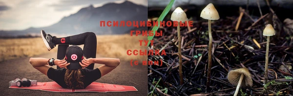 герыч Белокуриха