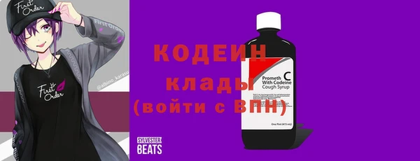 индика Краснотурьинск