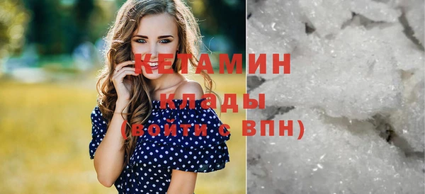 прущие грибы Заволжск